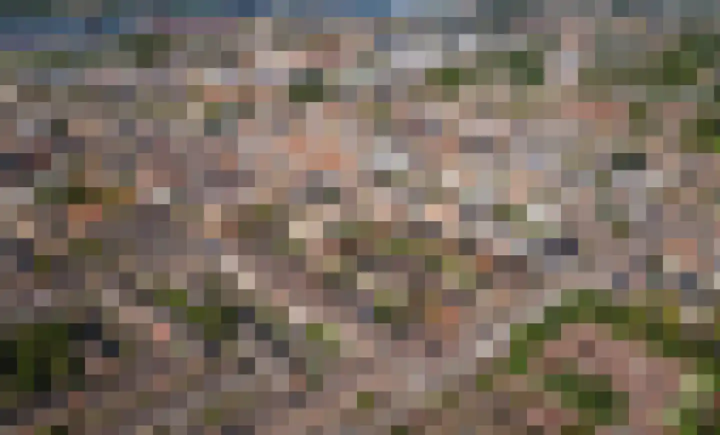 Zuidvliet 65 Maassluis thumbnail 8