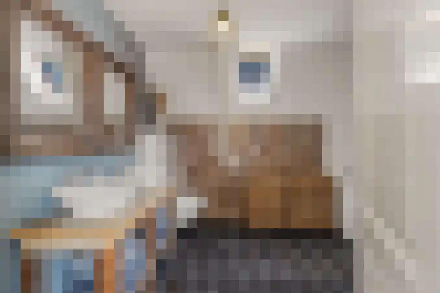 Zuidvliet 9 A Maassluis thumbnail 18