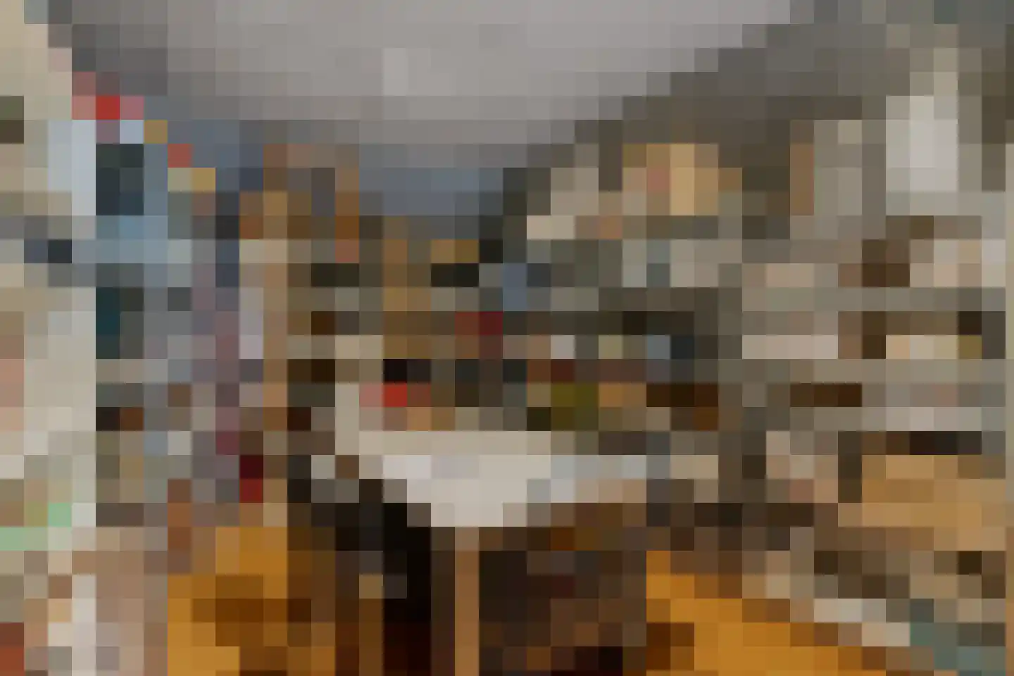 Zuidvliet 9 Maassluis thumbnail 22