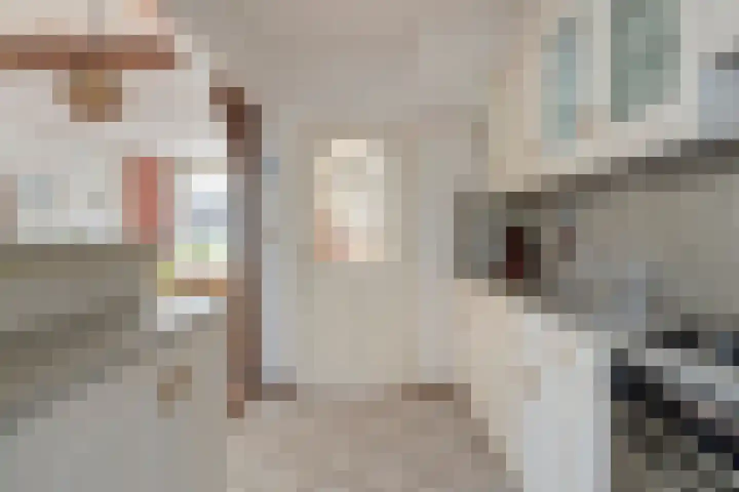 Zuidvlietstraat 31 Goes thumbnail 18