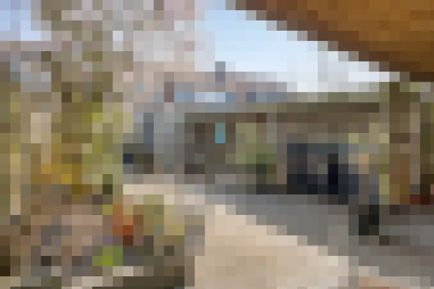 Zuidvlietstraat 31 Goes thumbnail 37