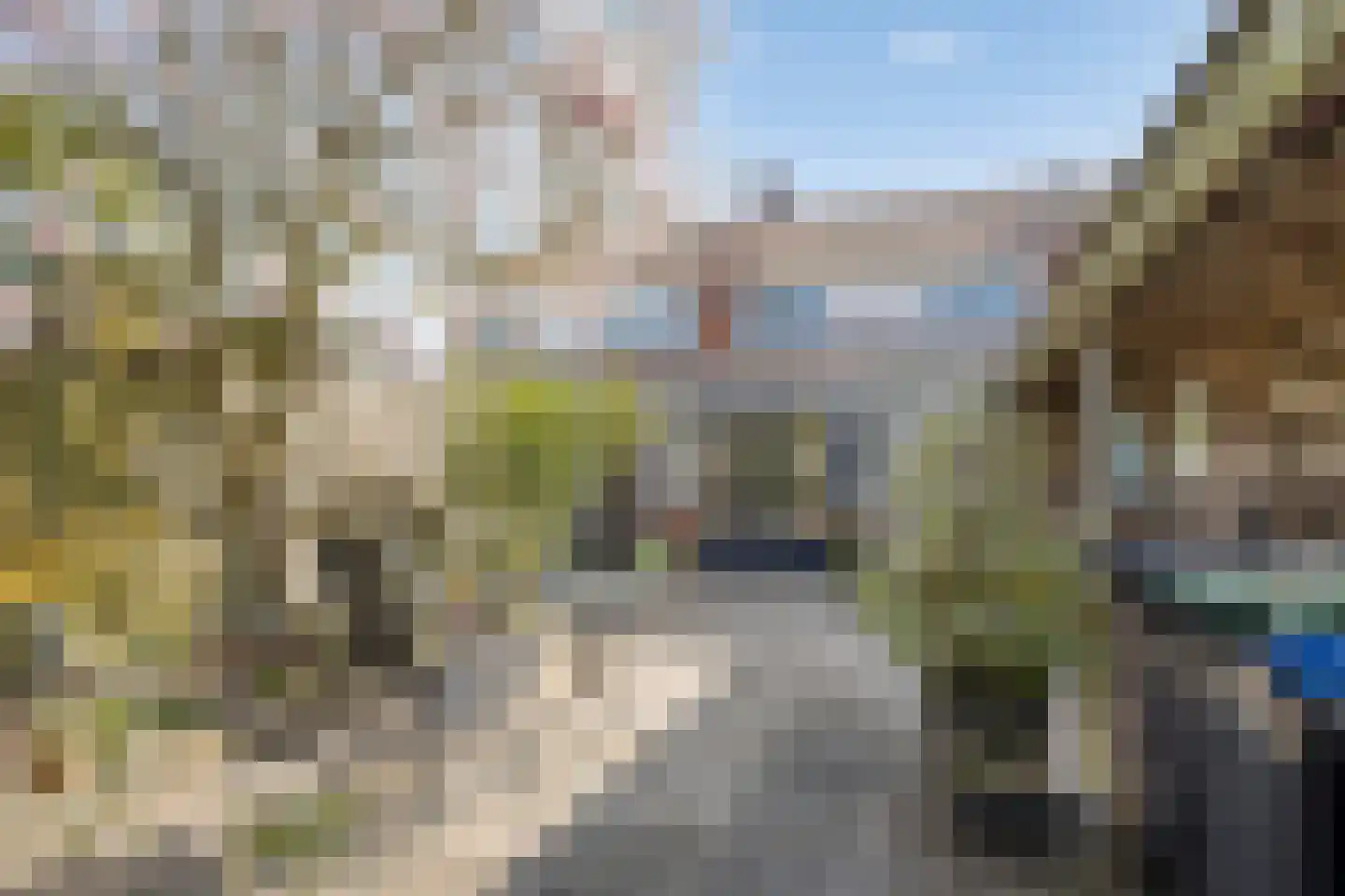 Zuidvlietstraat 31 Goes thumbnail 38