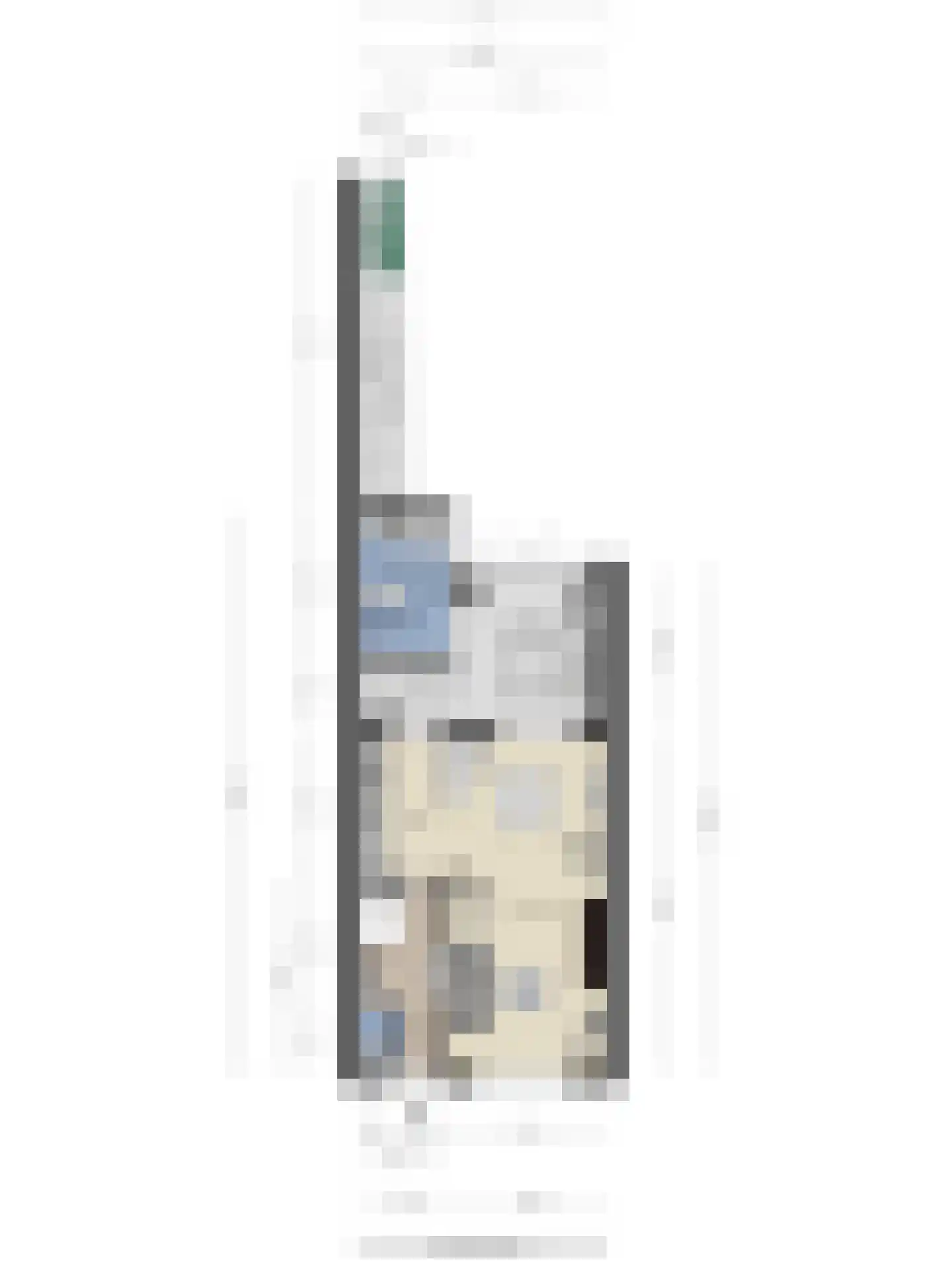 Zuidvlietstraat 31 Goes thumbnail 42