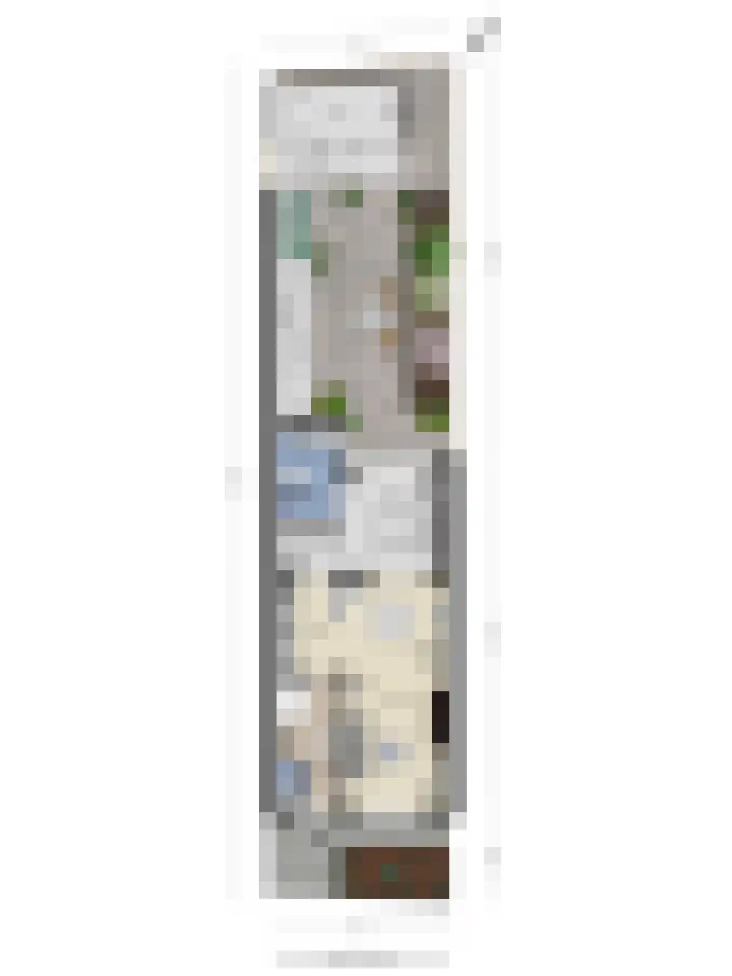 Zuidvlietstraat 31 Goes thumbnail 43