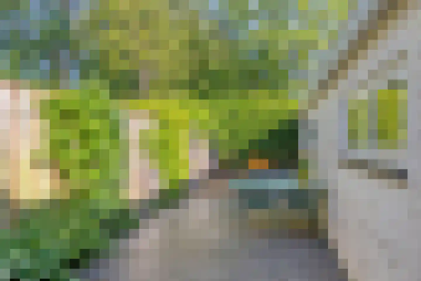 Zuidvlietstraat 39 Goes thumbnail 23