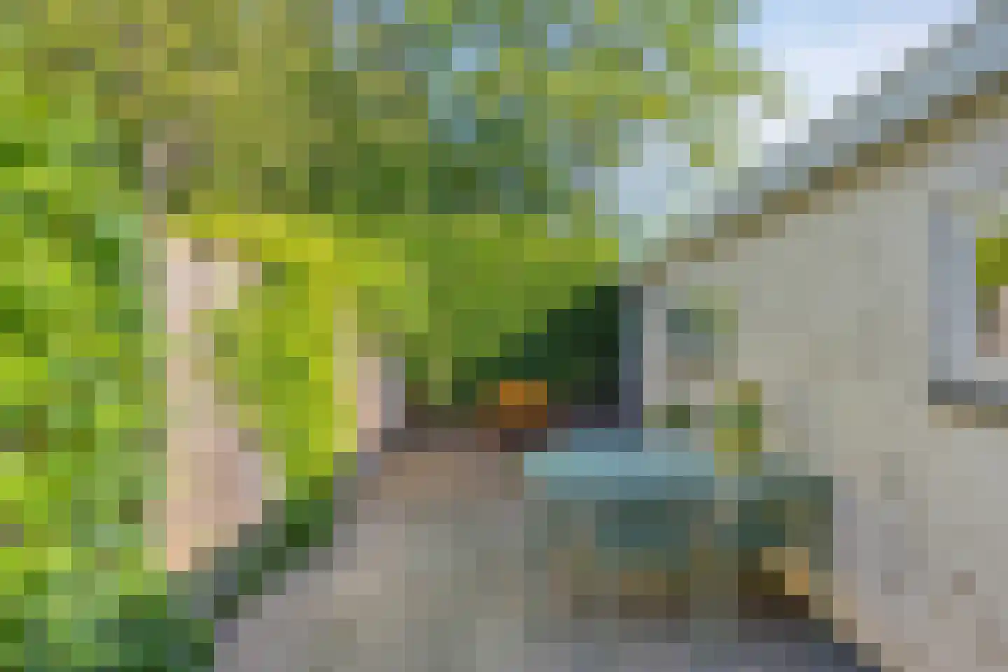 Zuidvlietstraat 39 Goes thumbnail 24