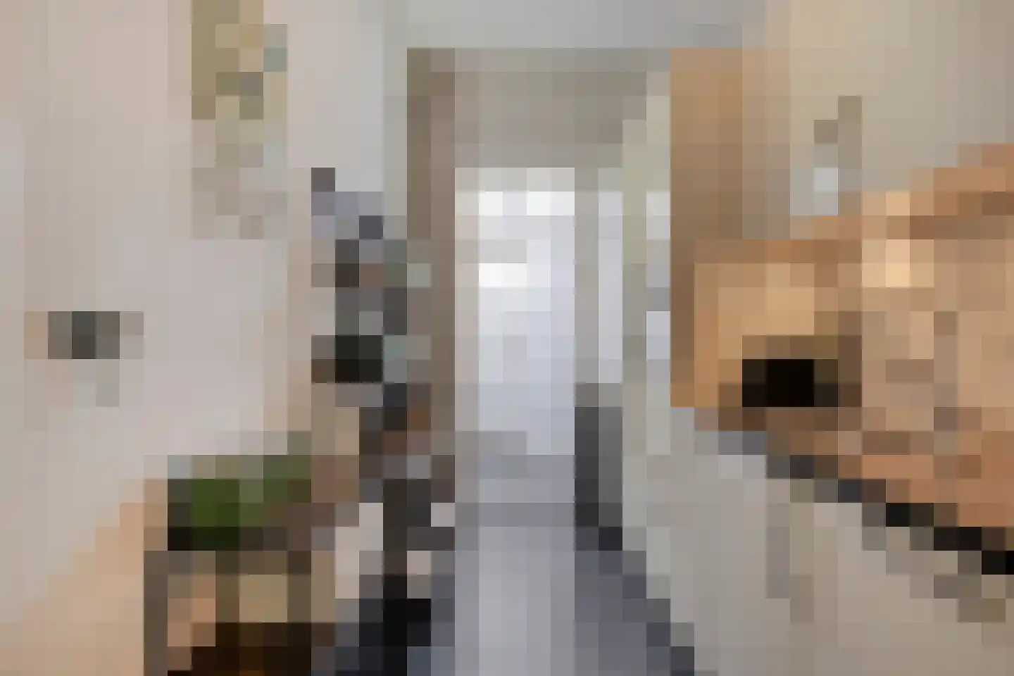 Zuidvlietstraat 39 Goes thumbnail 9