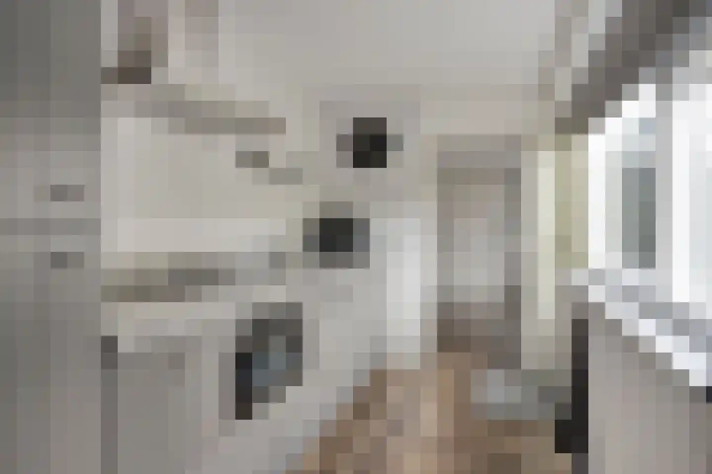 Zuidvlietstraat 46 Goes thumbnail 13