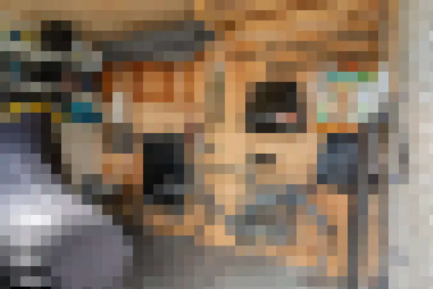 Zuidvlietstraat 46 Goes thumbnail 34