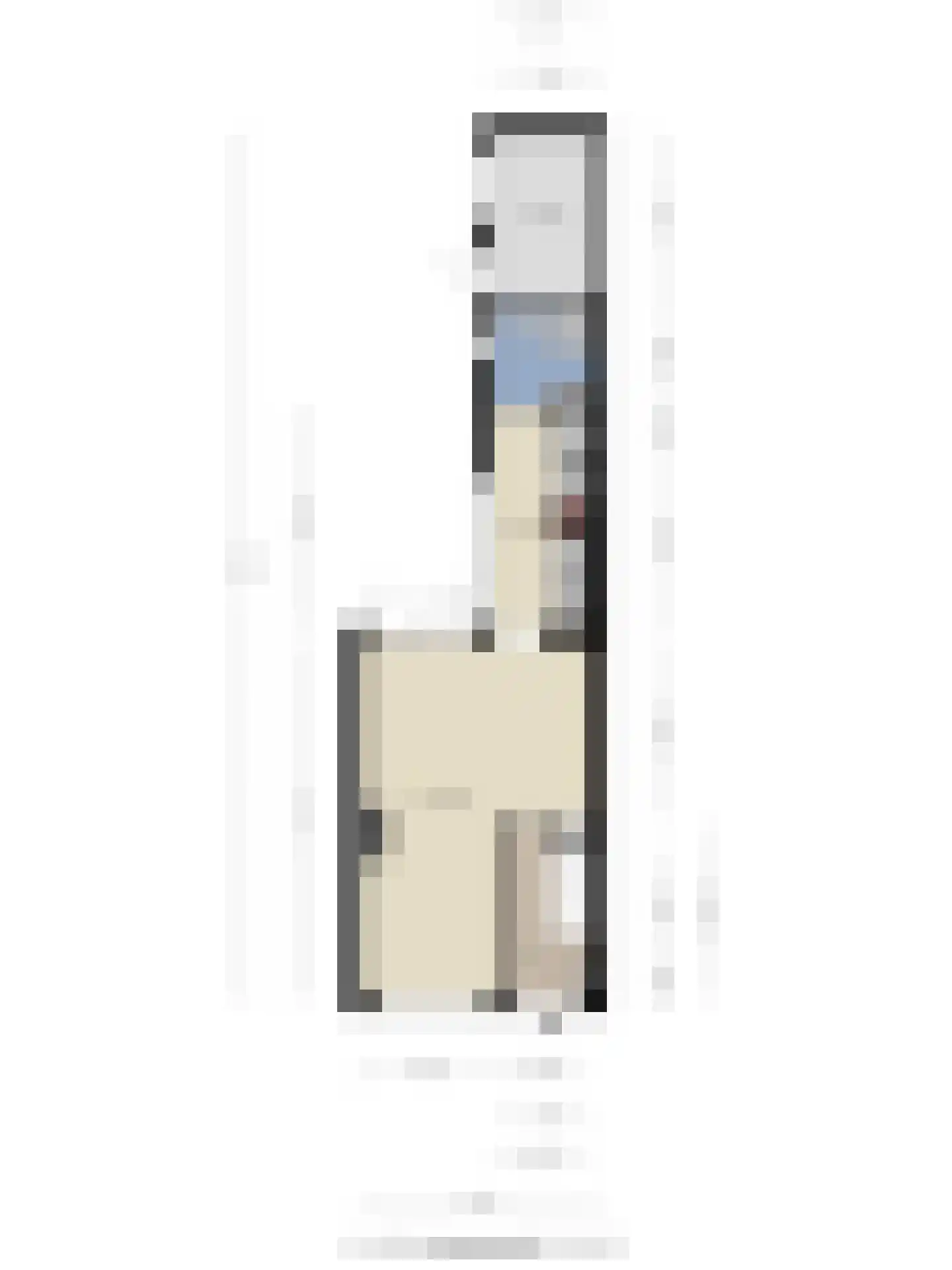 Zuidvlietstraat 46 Goes thumbnail 35