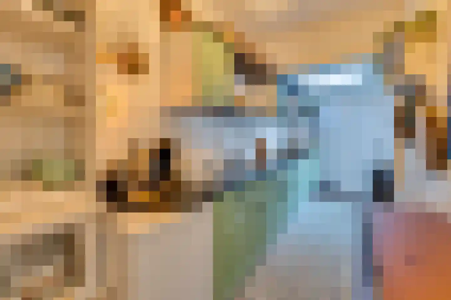 Zuidvlietstraat 59 Goes thumbnail 16