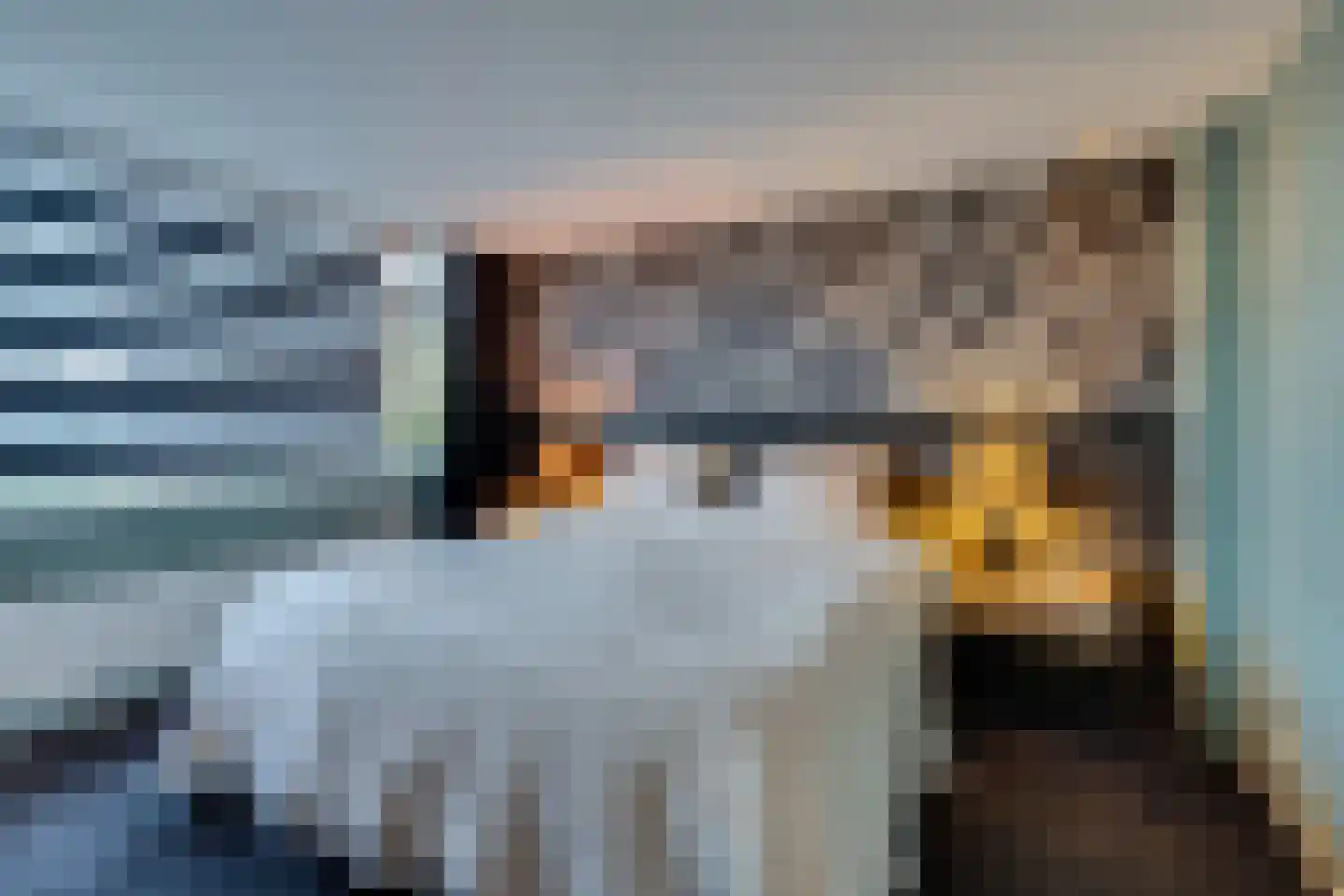 Zuidvlietstraat 59 Goes thumbnail 19