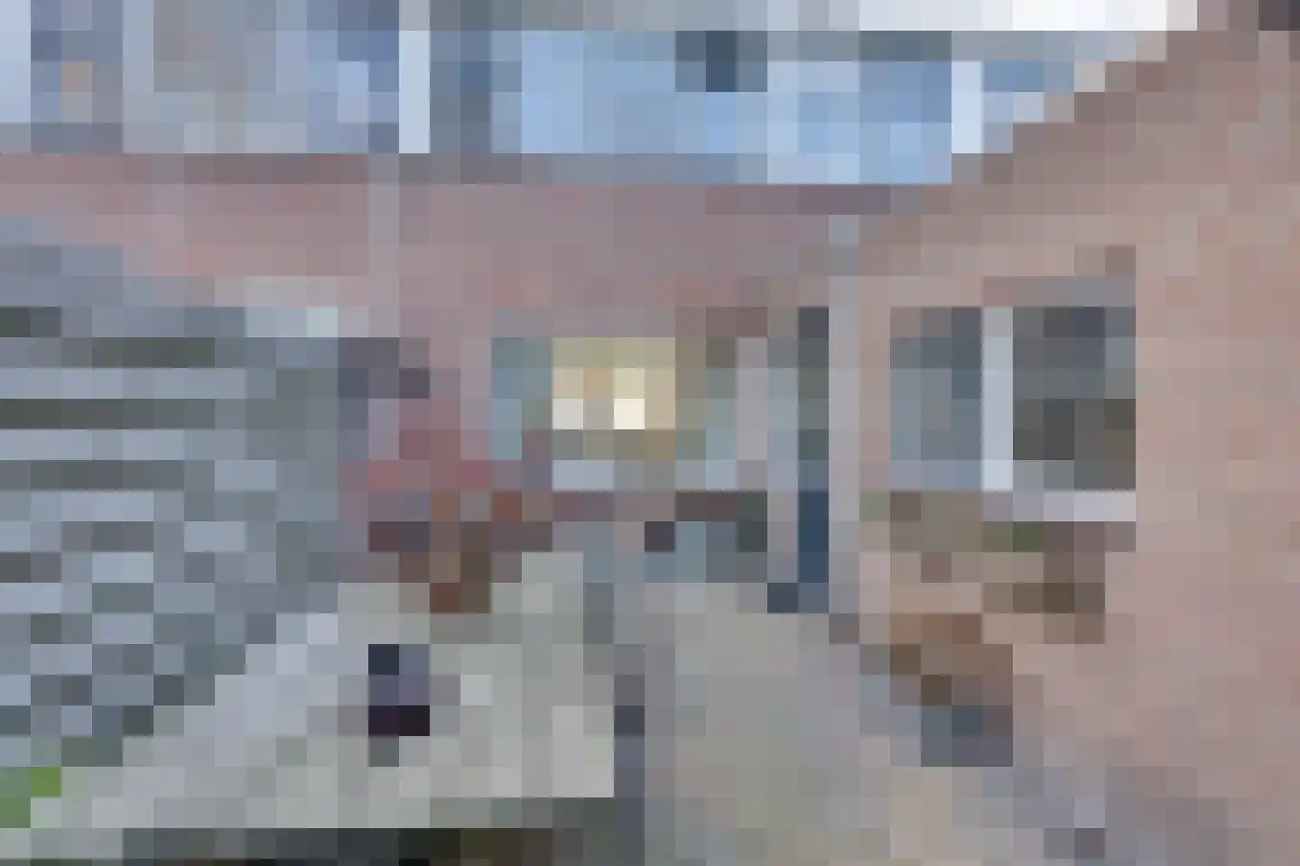 Zuidvlietstraat 59 Goes thumbnail 28