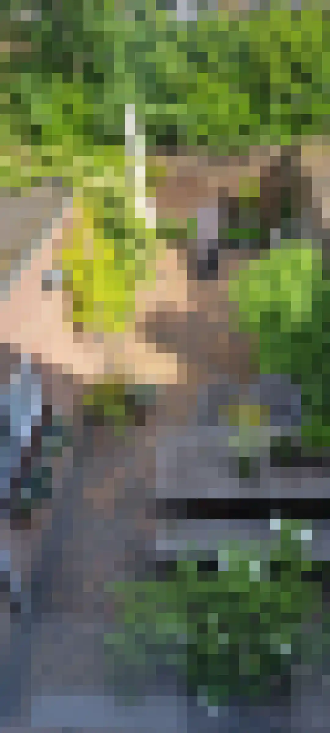 Zuidvlietstraat 59 Goes thumbnail 33