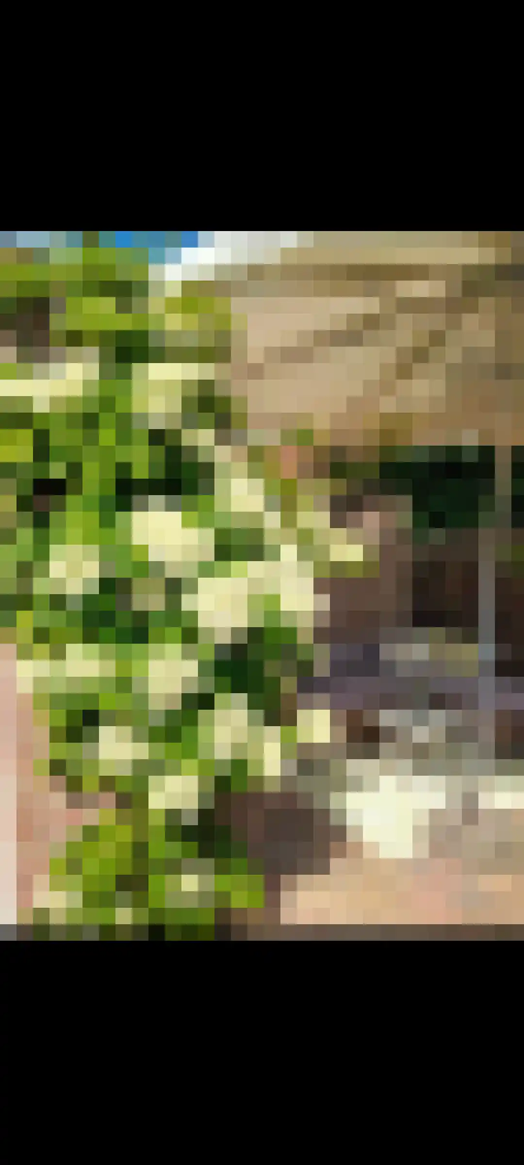 Zuidvlietstraat 59 Goes thumbnail 34