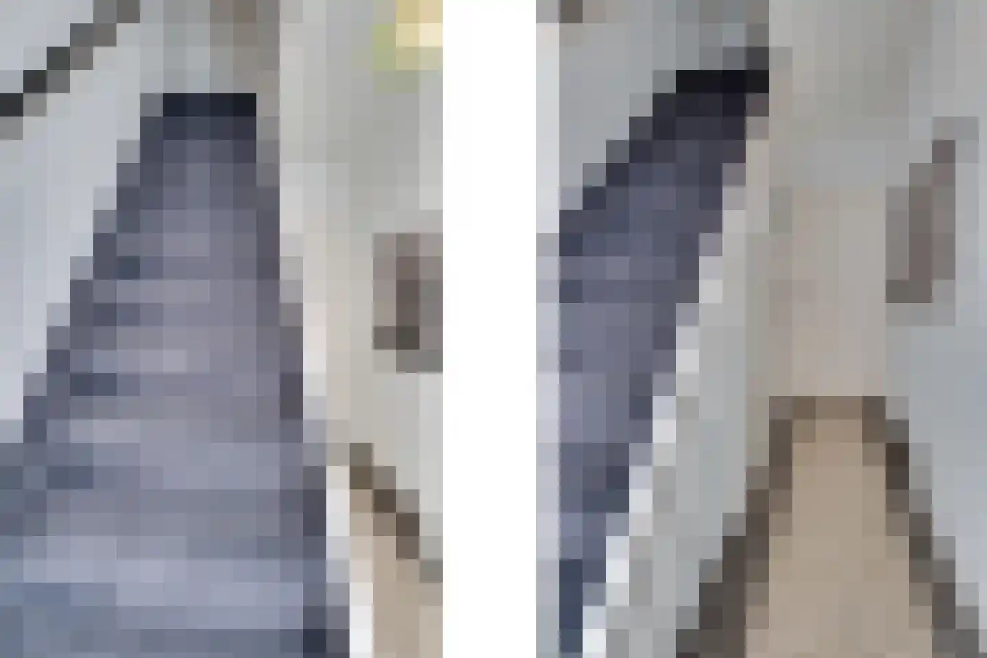Zuidvlietstraat 59 Goes thumbnail 4