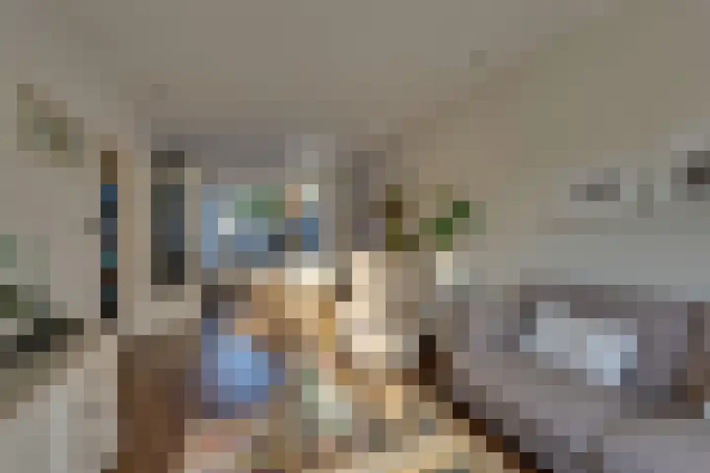 Zuidvlietstraat 59 Goes thumbnail 8