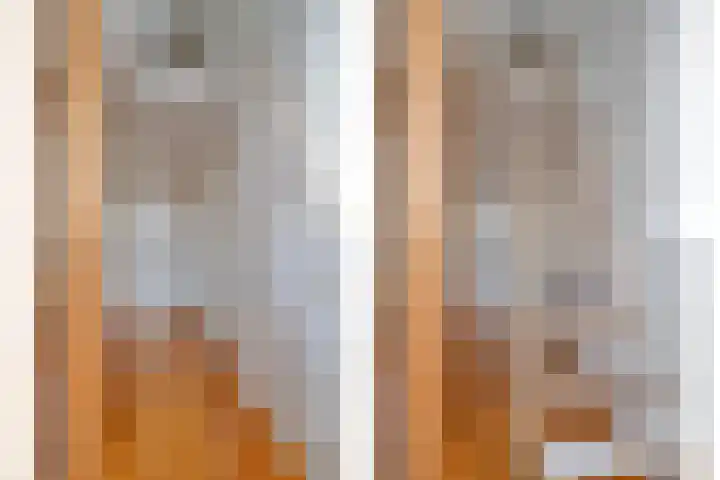 Zuidvlietstraat 67 Goes thumbnail 35