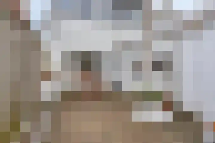 Zuidvlietstraat 67 Goes thumbnail 38