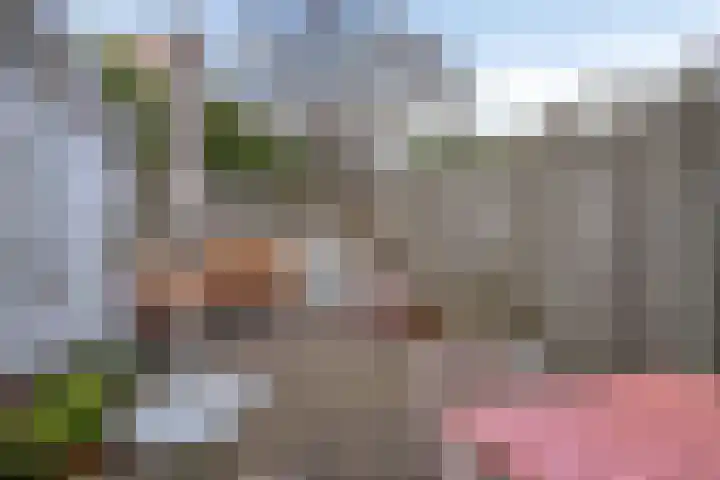 Zuidvlietstraat 67 Goes thumbnail 4