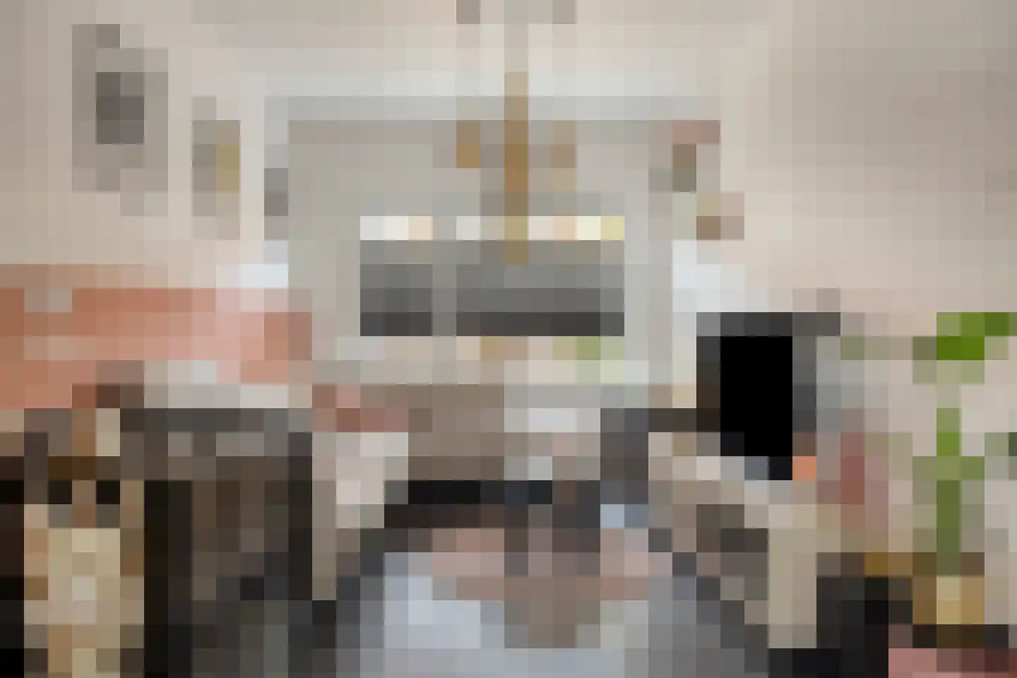 Zuidvlietstraat 82 Goes thumbnail 5