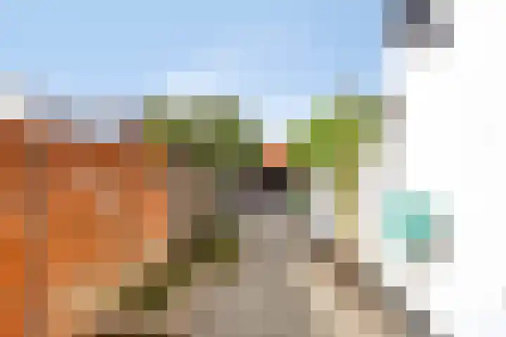 Zuidvlietstraat 9 Goes thumbnail 23