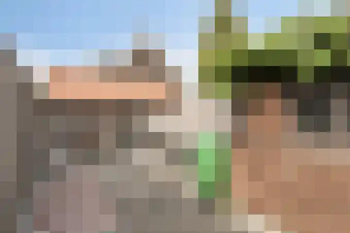 Zuidvlietstraat 9 Goes thumbnail 24