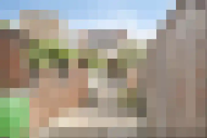 Zuidvlietstraat 9 Goes thumbnail 26