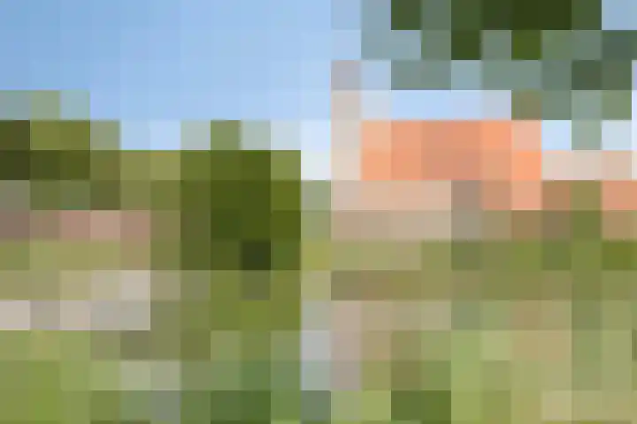 Zuidvlietstraat 9 Goes thumbnail 29