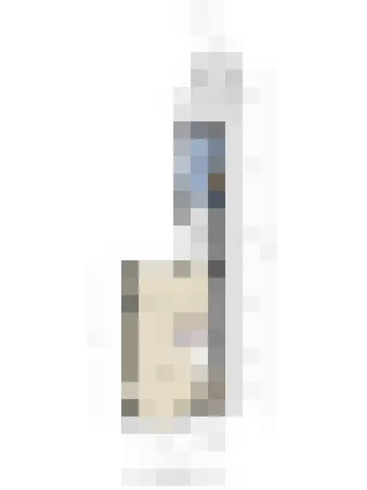 Zuidvlietstraat 9 Goes thumbnail 31