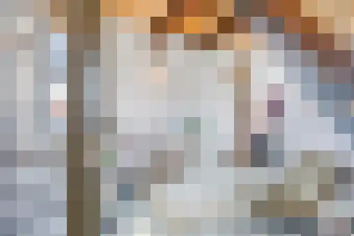 Zuidvlietstraat 9 Goes thumbnail 5