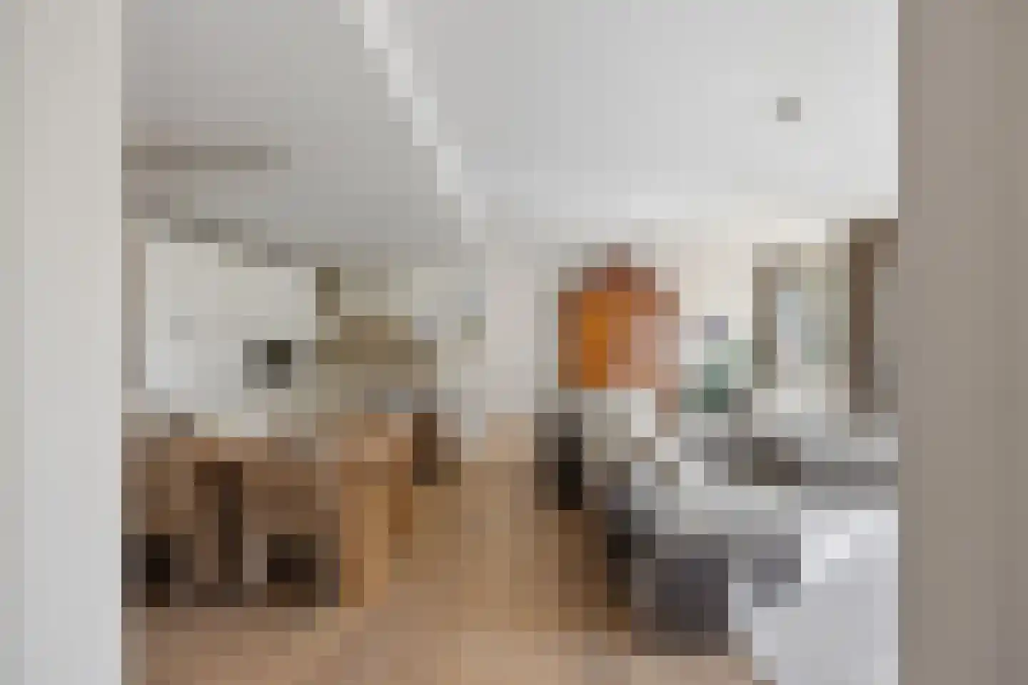 Zuidwal 10 E 's-Hertogenbosch thumbnail 14