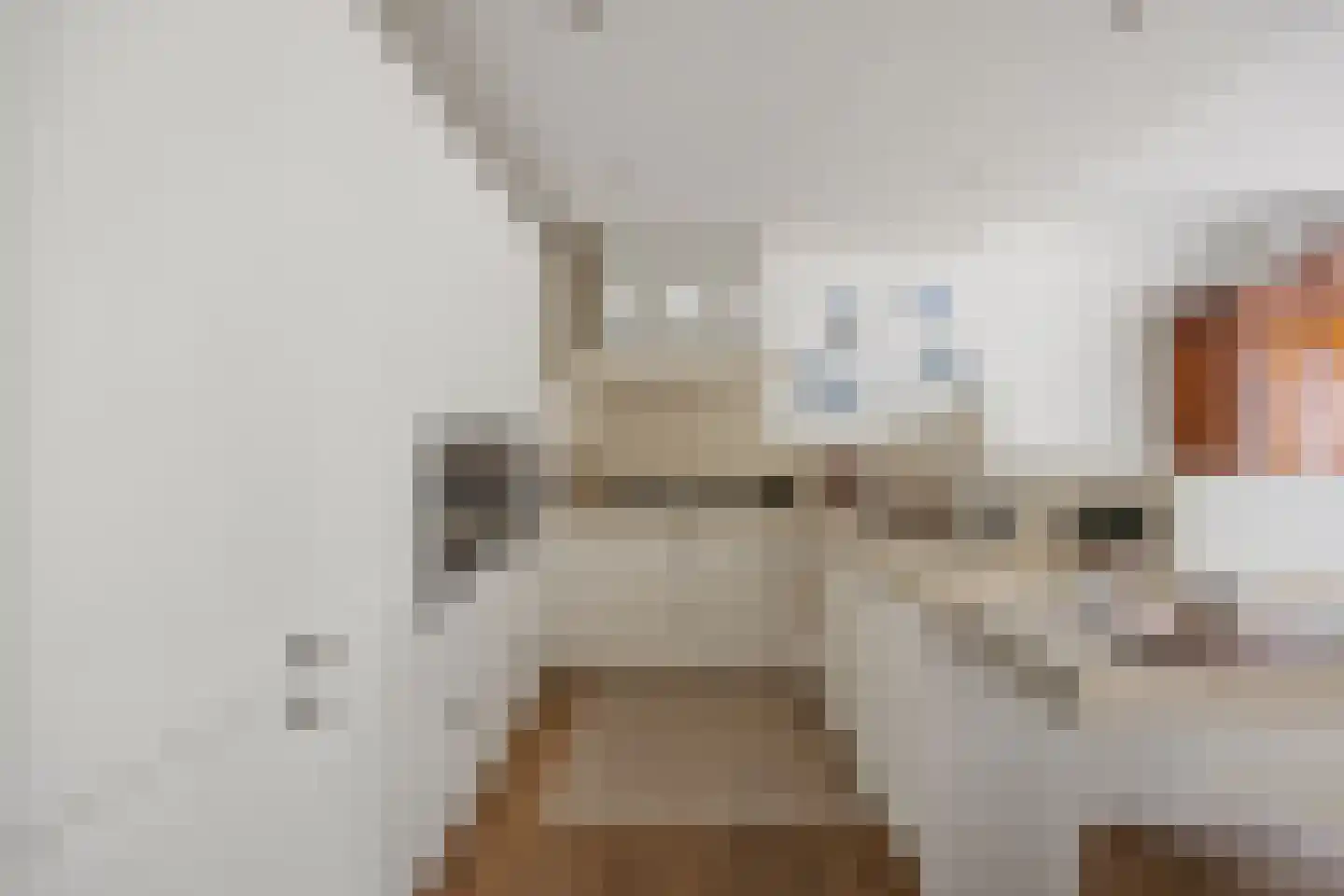 Zuidwal 10 E 's-Hertogenbosch thumbnail 19