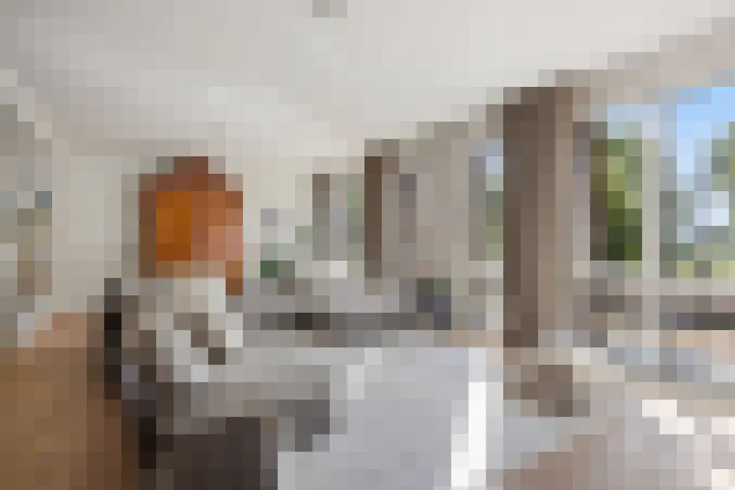 Zuidwal 10 E 's-Hertogenbosch thumbnail 28