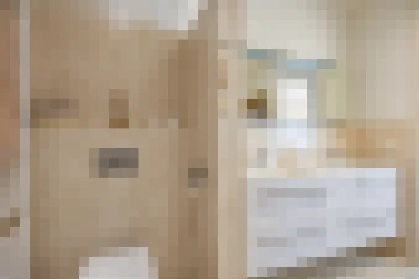 Zuidwal 10 E 's-Hertogenbosch thumbnail 36
