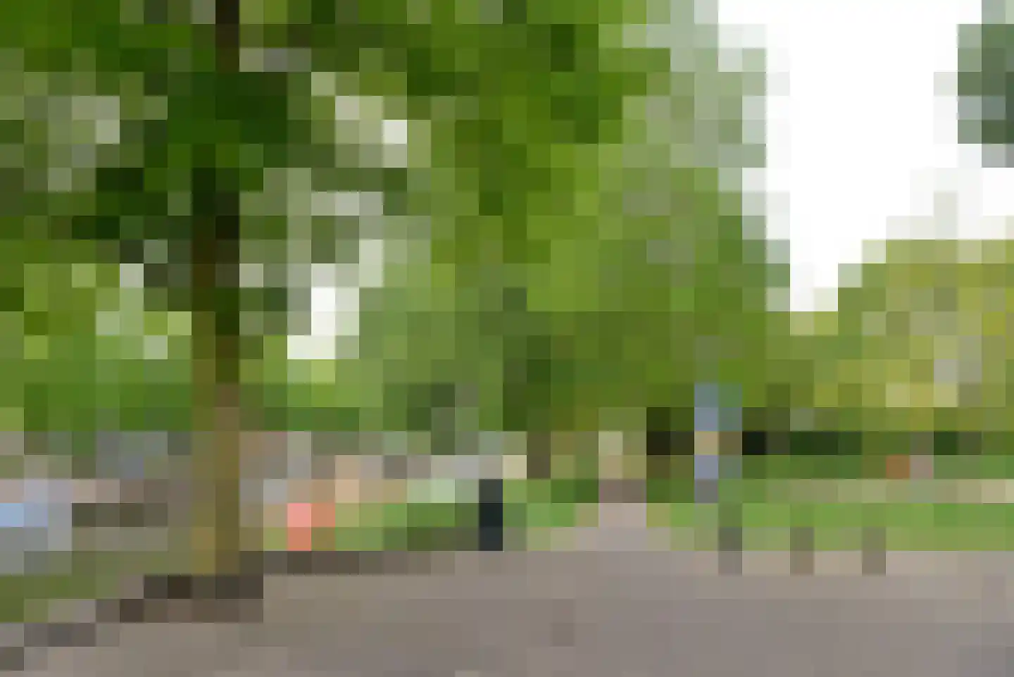 Zuidwal 10 Huizen thumbnail 15