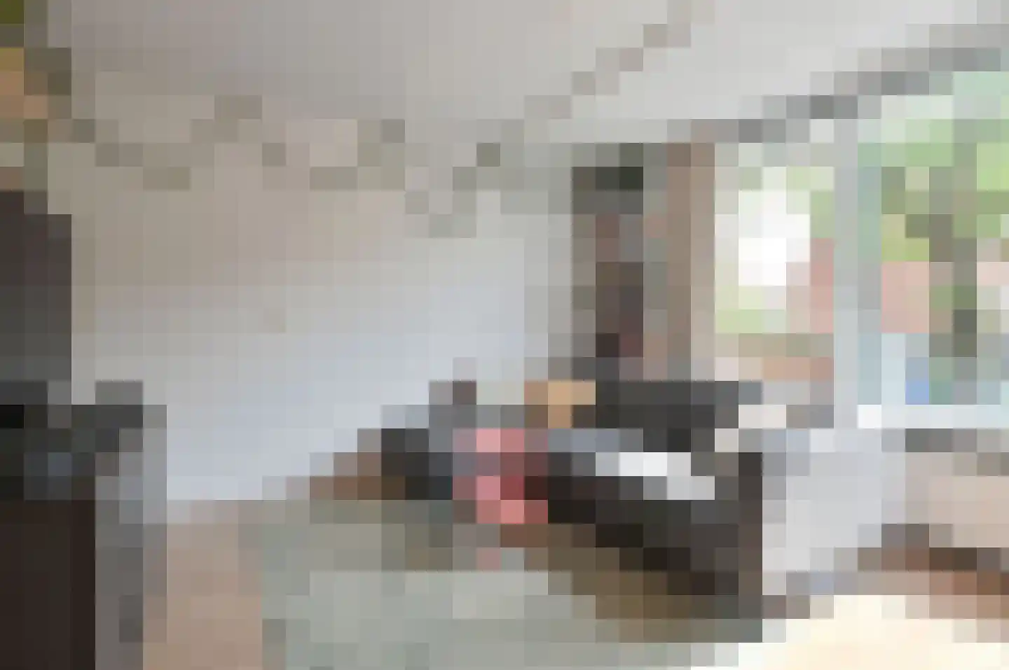 Zuidwal 10 Huizen thumbnail 4