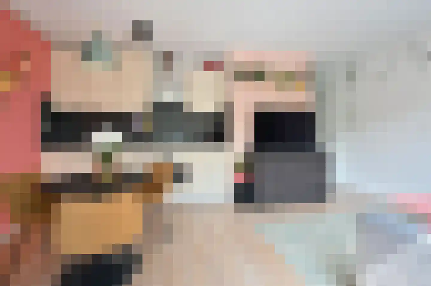 Zuidwal 10 Huizen thumbnail 6