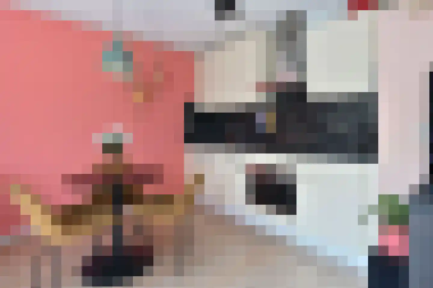 Zuidwal 10 Huizen thumbnail 7