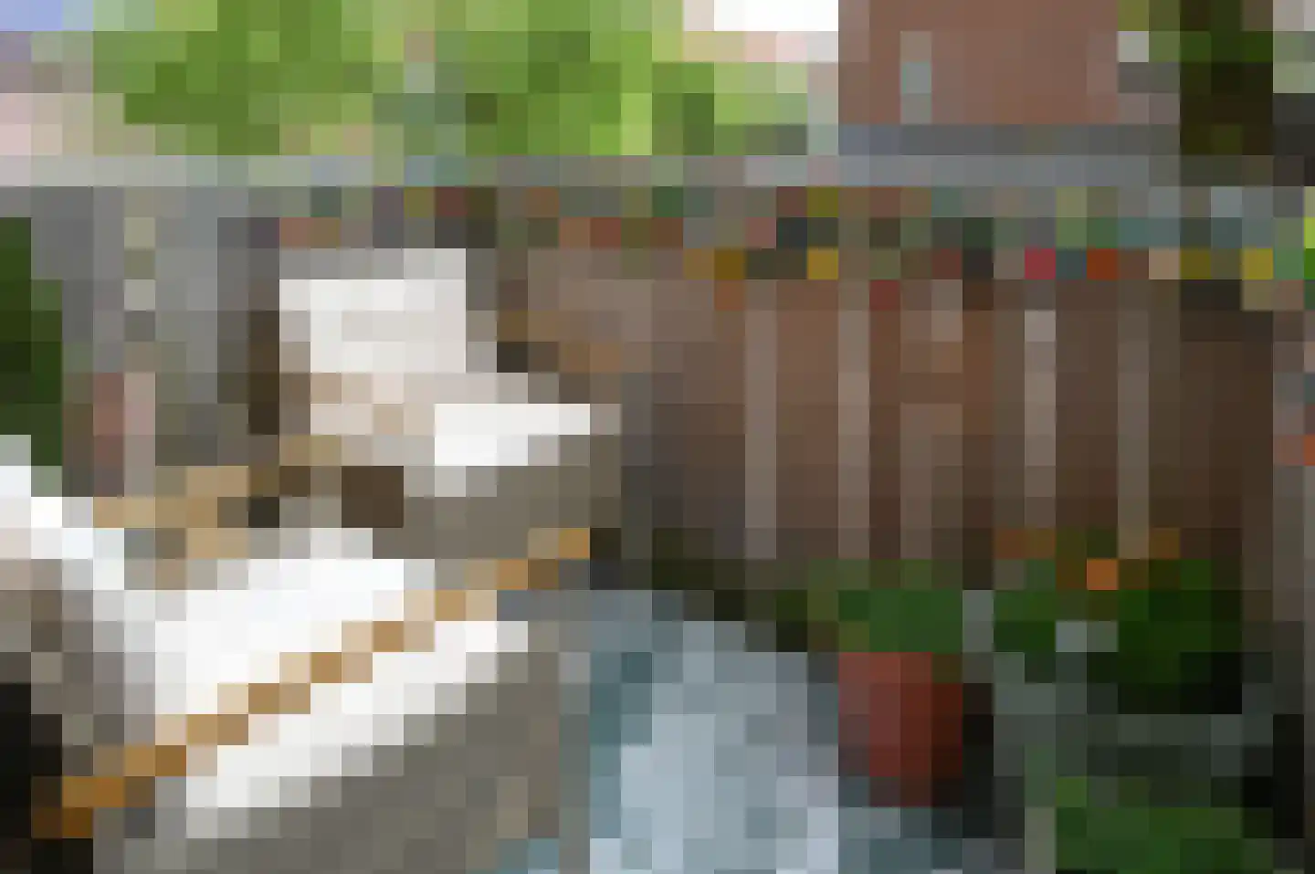 Zuidwal 10 Huizen thumbnail 8