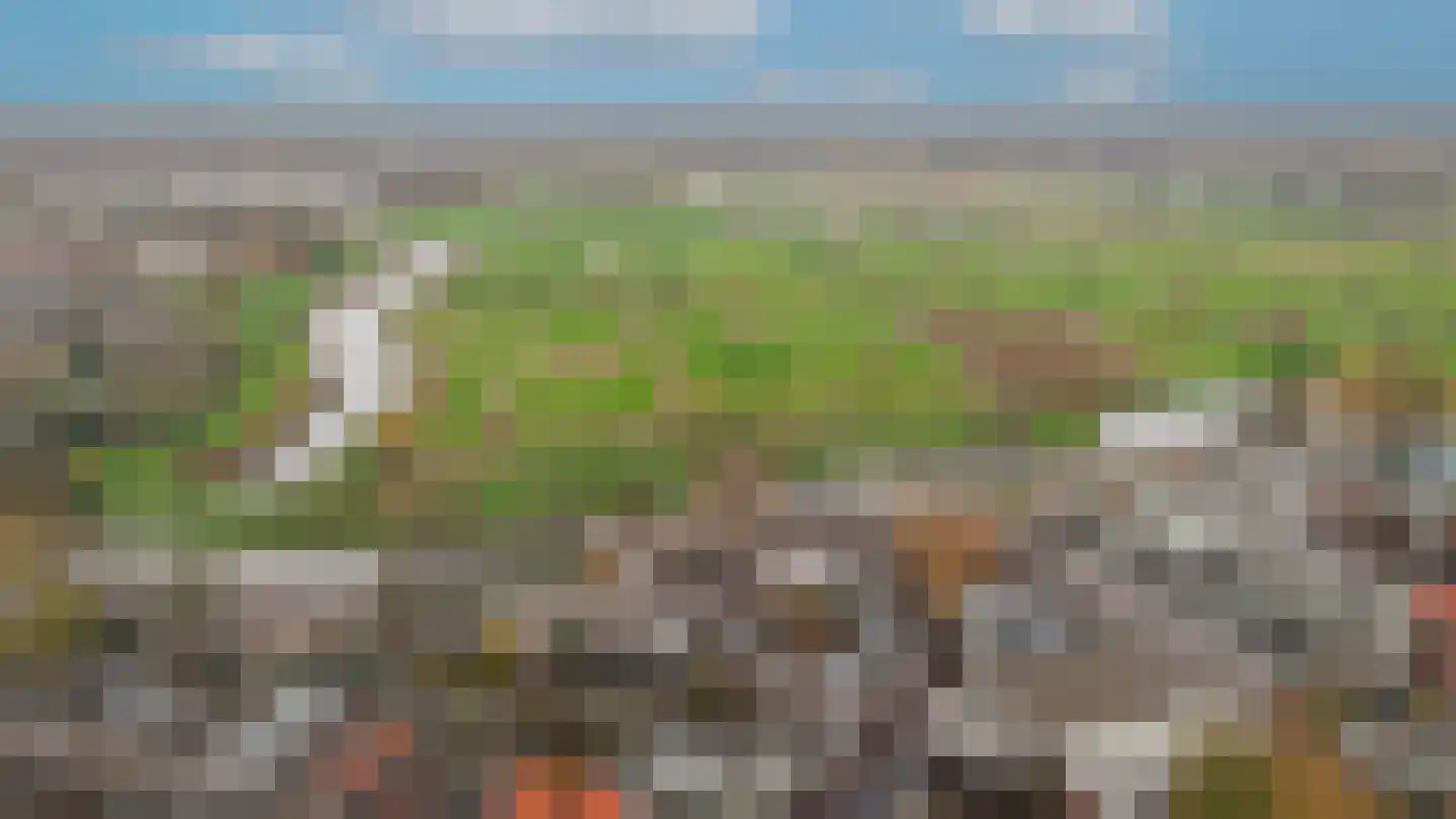 Zuidwal 10 N 's-Hertogenbosch thumbnail 48