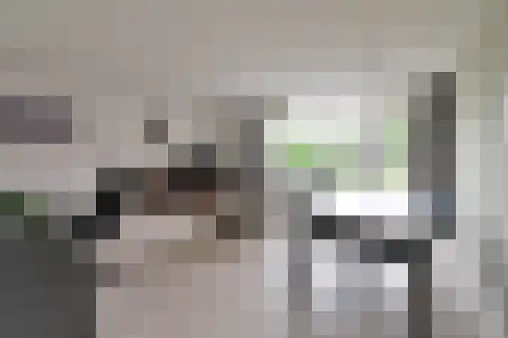 Zuidwal 105 Huizen thumbnail 4