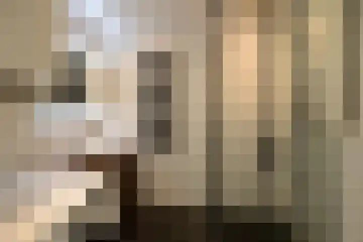 Zuidwal 105 Huizen thumbnail 8