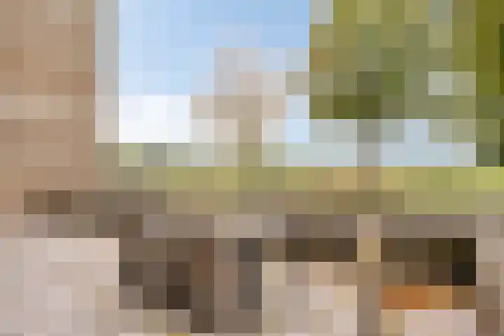 Zuidwal 11 D 's-Hertogenbosch thumbnail 12