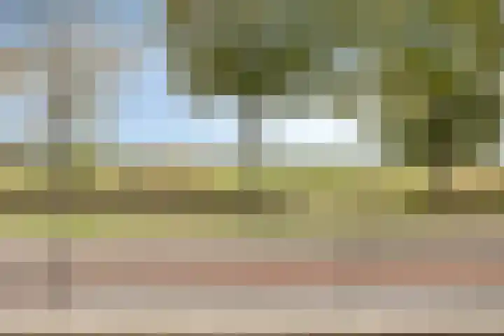 Zuidwal 11 D 's-Hertogenbosch thumbnail 13