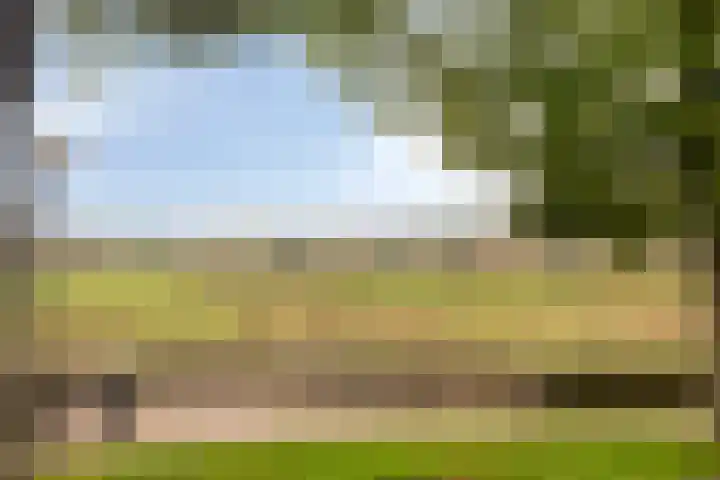 Zuidwal 11 D 's-Hertogenbosch thumbnail 14