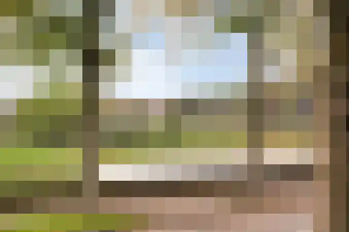 Zuidwal 11 D 's-Hertogenbosch thumbnail 15