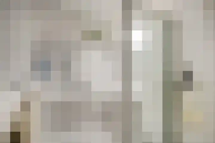 Zuidwal 11 D 's-Hertogenbosch thumbnail 23