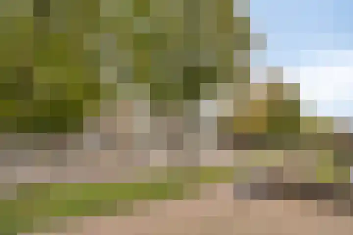 Zuidwal 11 D 's-Hertogenbosch thumbnail 31