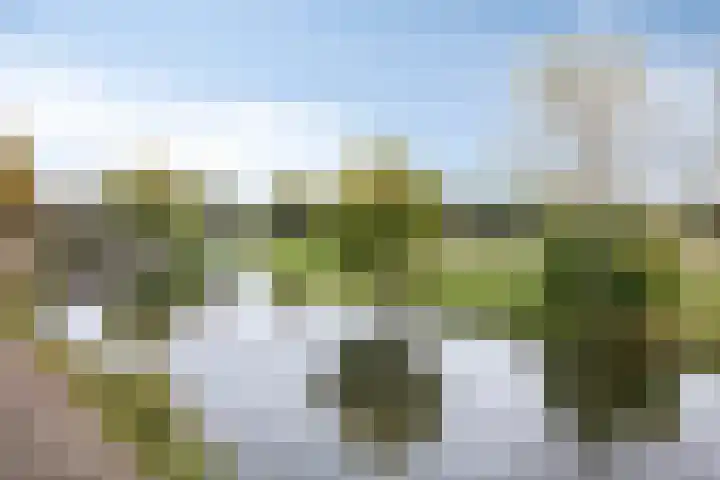 Zuidwal 11 D 's-Hertogenbosch thumbnail 32